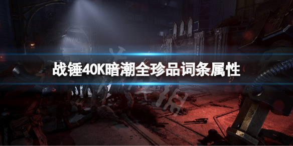 《战锤40K暗潮》难5全职业武器选择 难5全职业武器推荐