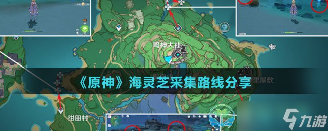 《原神》海灵芝采集路线分享
