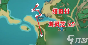 原神海灵芝采集路线及作用介绍