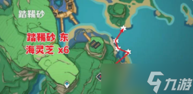 原神海灵芝采集路线及作用介绍