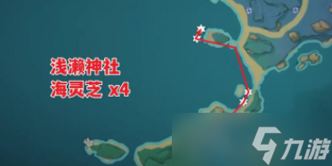 原神海灵芝采集路线及作用介绍