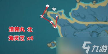 原神海灵芝采集路线及作用介绍