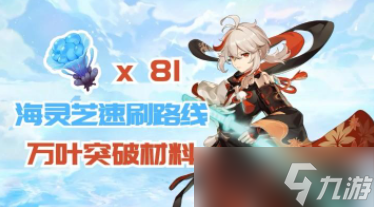 原神海灵芝采集路线及作用介绍