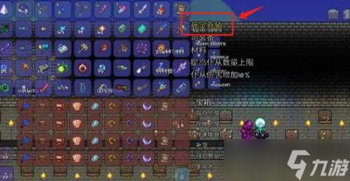 泰拉瑞亚召唤师饰品用什么好
