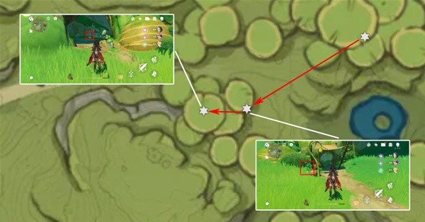 原神3.6版帕蒂莎兰怎么快速采集