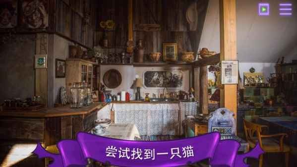 找一只猫下载