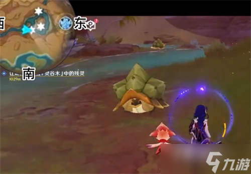 《原神》玳龟分布位置大全