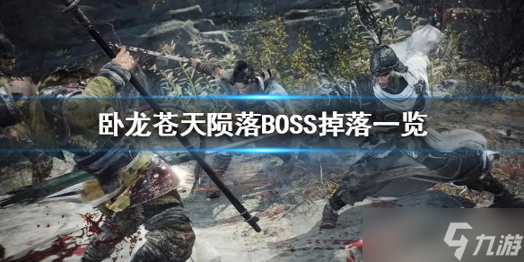 卧龙苍天陨落BOSS掉落什么物品？