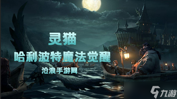 哈利波特魔法觉醒灵猫卡牌介绍
