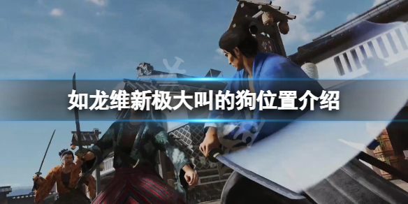 如龙维新极大叫的狗在哪