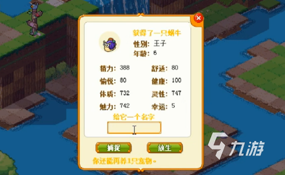 皮卡堂宠物攻略 皮卡堂宠物系统内容详情一览