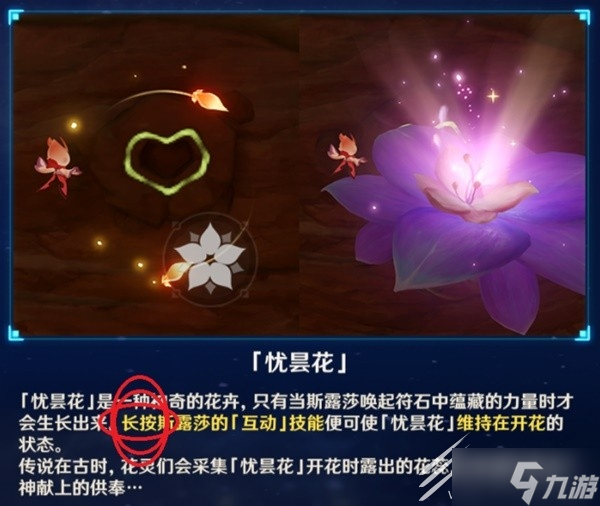 原神忧昙花的花蕊收集教程一览