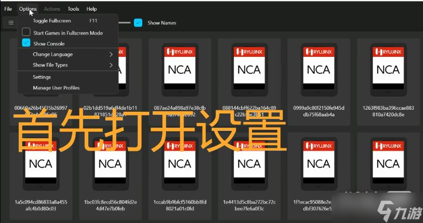 《塞尔达传说：王国之泪》模拟器设置中文教程分享