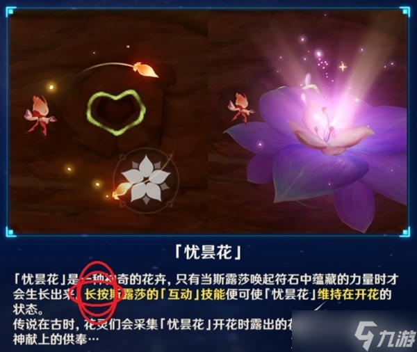 原神忧昙花的花蕊收集教程一览
