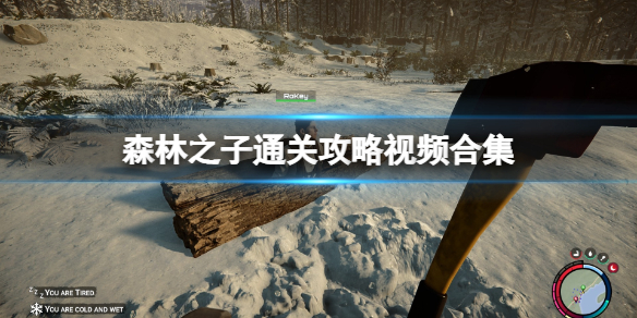 森林之子任务怎么做？