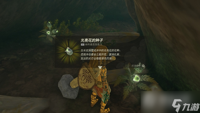 《塞尔达传说王国之泪》主线结局通关攻略大全