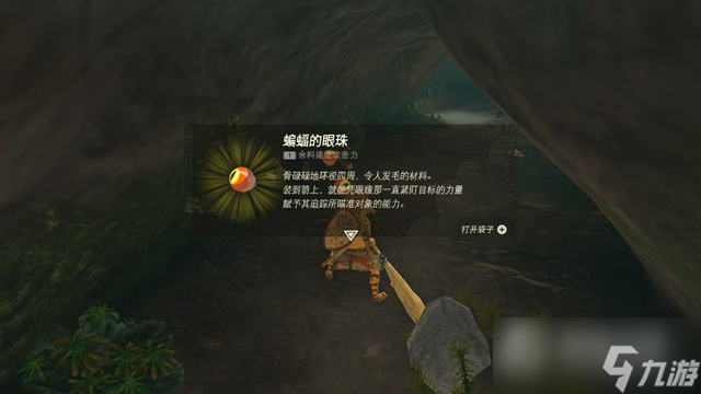 《塞尔达传说王国之泪》主线结局通关攻略大全