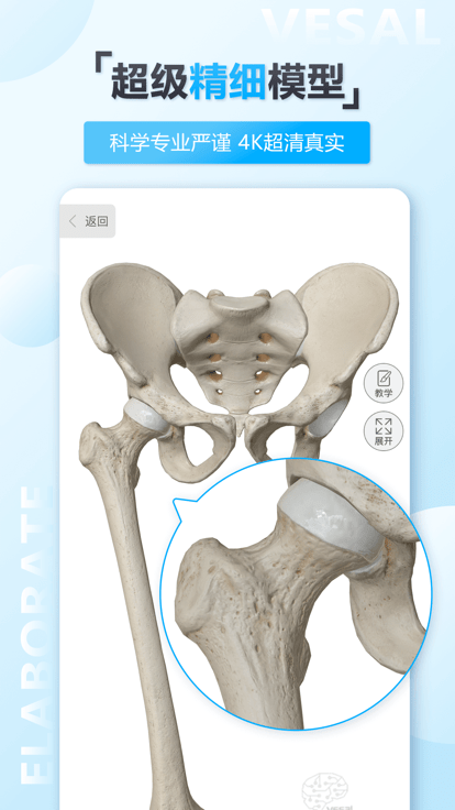 维萨里3d解剖app