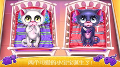 怀孕宠物生宝宝