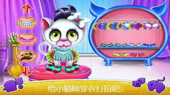 怀孕宠物生宝宝
