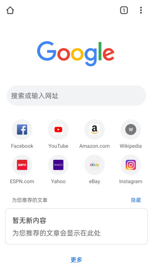 谷歌浏览器Google Chrome图1