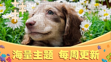 拼图大作战安卓官方版