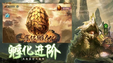 千鸟飞绝/