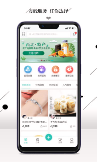 黑头羊图2