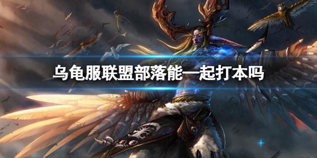 《魔兽世界》乌龟服联盟与部落合作共同攻打副本吗？