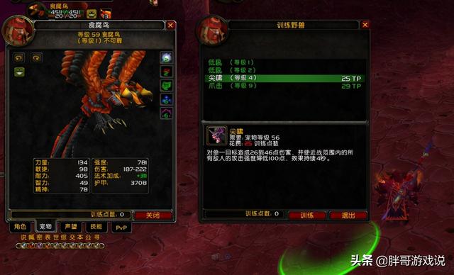 魔兽世界怀旧服:猎人宠物测试,这三只宠物足够满足TBC版本需求