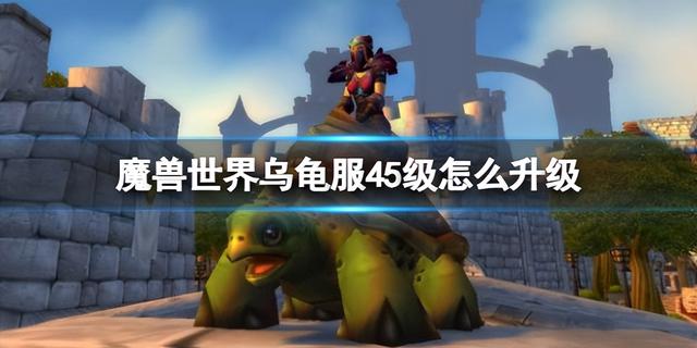 魔兽世界：乌龟服45级升级攻略及优化建议