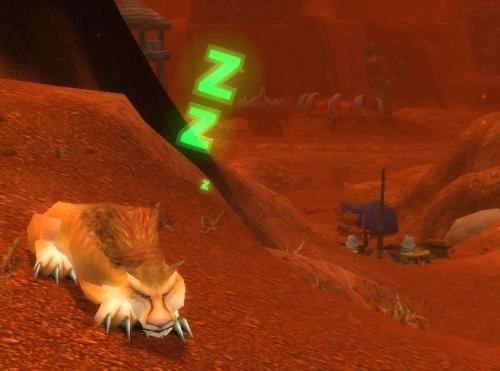 魔兽世界经典旧世：猎人游宠稀有扫盲指南