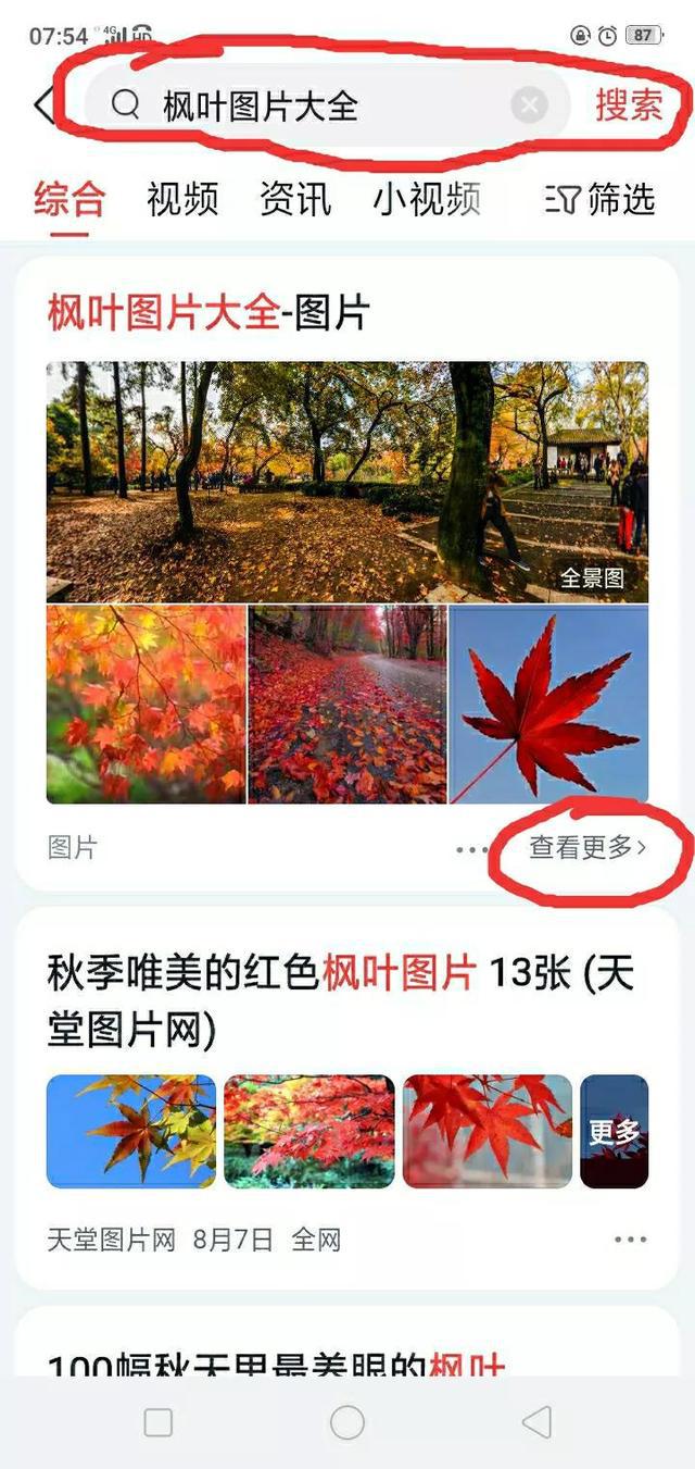 如何保存网络上找到的图片和视频素材到手机相册？（自媒体编辑必备）