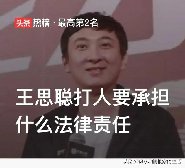 为何很少有网友骂王思聪当街打人？