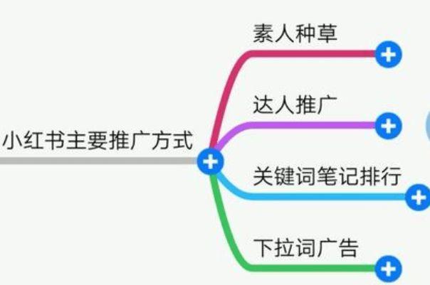 如何运用小红书快速引流和推广？