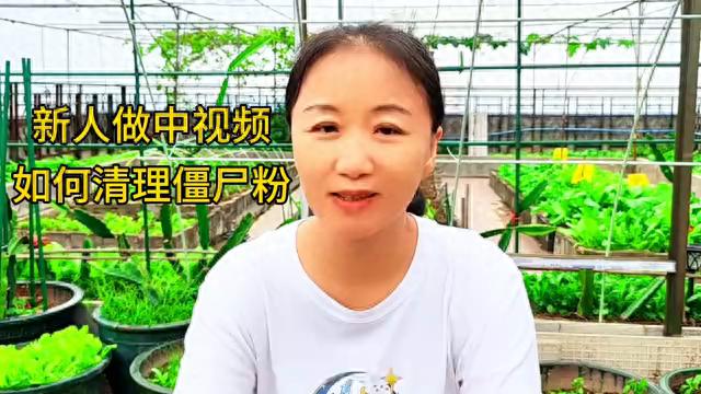 如何清除僵尸粉？新人做中视频有什么技巧吗？