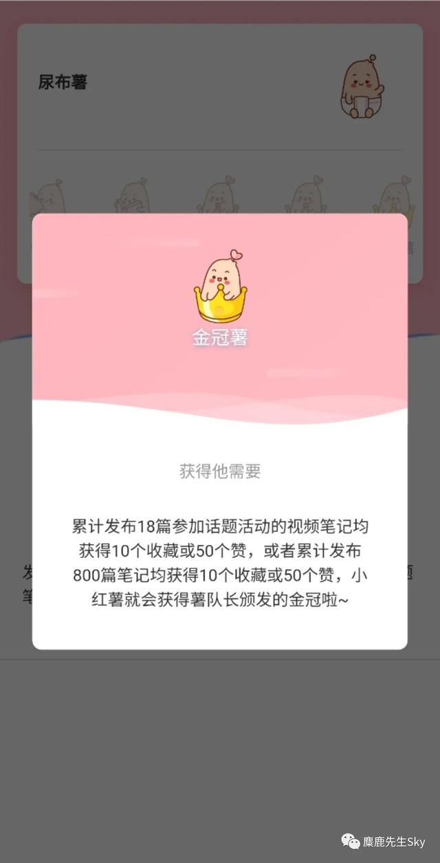 小红书养号技巧大公开！掌握这些方法让你事半功倍！