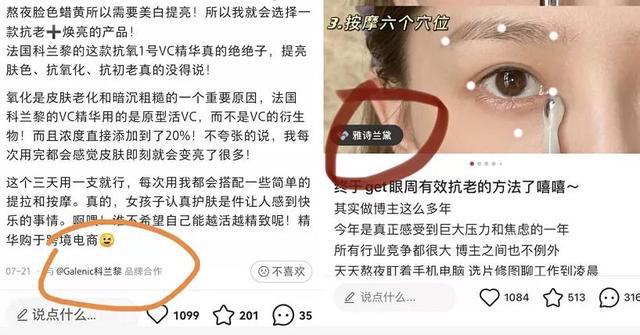 蒲公英信用等级正式上线，我们与官方进行了交流讨论