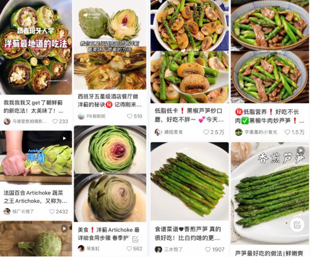 “高级又健康”：探索替代网红蔬菜是否可能