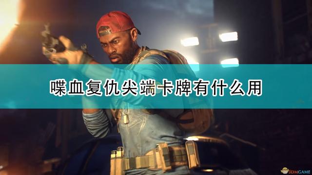 《喋血复仇》卡牌效果及评测研究