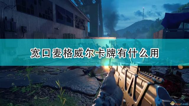 《血色复仇：宽口麦格威尔卡牌效果及评测分享》