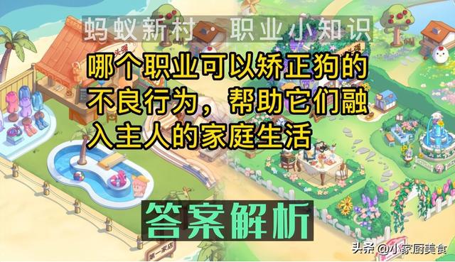 ：专业狗品行教育师：帮助狗狗融入主人家庭生活的职业