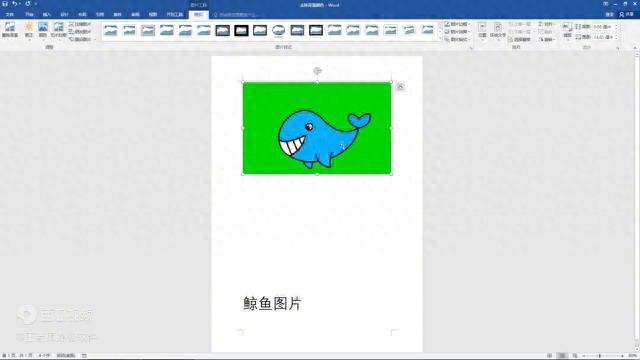 去除Word表格背景颜色,办公软件制表教学,Word基础操作指南