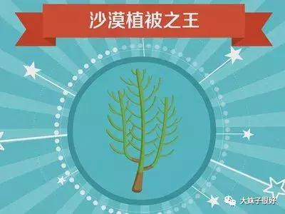 这个功能让我坚持骑哈罗！为了它，我甚至省下了水电煤气费