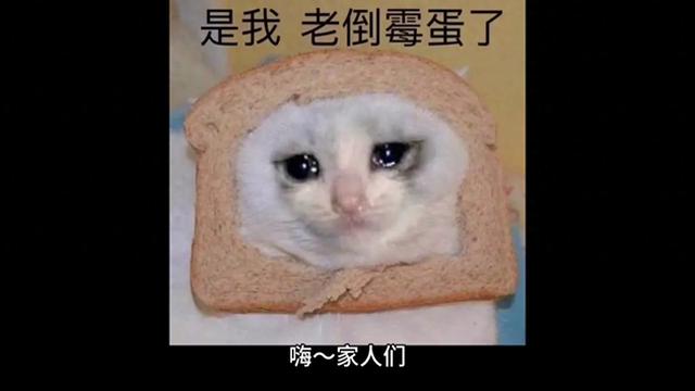 原神迪奥娜猫猫被迪奥投诉下架：如何继续赚取流量？