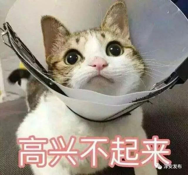 淳安人,市民卡初次申领、补换等业务,手机上就可以轻松办理啦!