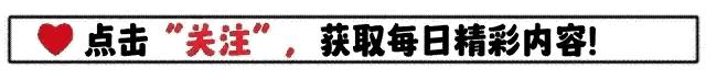 胖猫事件真相揭露：吃不起外卖的少年被女友骗后，死后竟被商家骗？