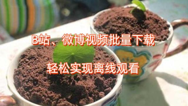B站、微博视频批量下载方法，让你随时随地轻松离线观看！