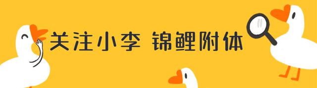 3w内！保姆级直播间设备清单 - 为您提供从设备到技巧的一站式指南！