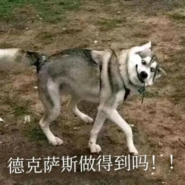 未来方舟:骡岛雌王德克萨斯的独特设定,拉普兰德无法及